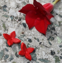 Červené květinky 